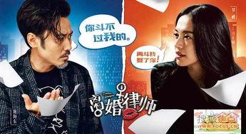 离婚律师爆料视频大全最新  第2张